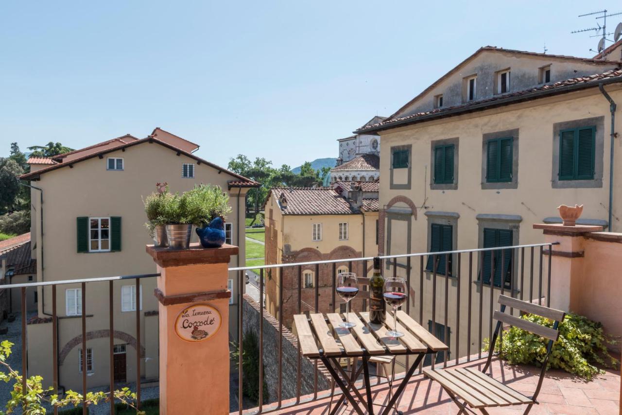 Terrazza Coccode' Spazioso Con Vista Mozzafiato! لوكا المظهر الخارجي الصورة