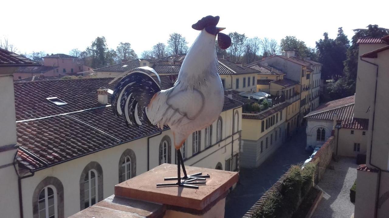 Terrazza Coccode' Spazioso Con Vista Mozzafiato! لوكا المظهر الخارجي الصورة
